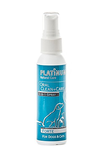 Preisvergleich Produktbild Platinum Oral Clean+Care Spray forte 65 ml