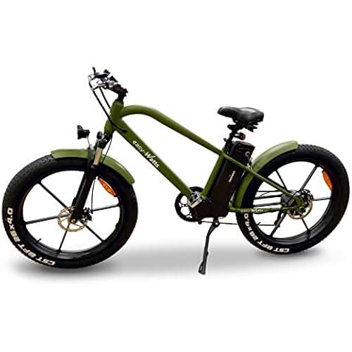 Amazon.fr fat bike electrique