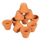 Perfectas para usar tanto en interior como en exterior. El pequeño tamaño de cada maceta hace que sea ideal para colocar en el balcón, repisas o sobre un escritorio.