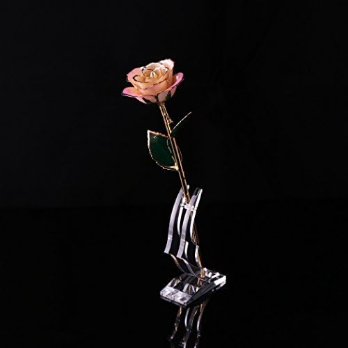 Gifts For Her,QGSTAR Real Rose Dipped 24 Carat Gold Preserved Forever Flower With Display Stand Romantic Presents For Anniversary Girlfriend Birthday Home Decoration (PinkWhite)