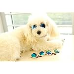MMY-occhiali-da-sole-rotondi-per-animali-con-montatura-in-metallo-per-gatti-o-cani-di-piccola-taglia-1-confezione