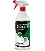 SIKKENS ALPHA ANTICONDENSA : : Salute E Cura Della Persona - Foto 10