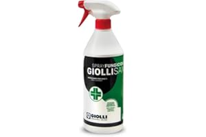 GIOLLI INDUSTRIA COLORI | Rimuovi Muffa per Muri Interni ed Esterni Giollisana Spray - Soluzione Igienizzante e Sbiancante ad Azione Rapida - Spray Antimuffa da Parete Pronto all'Uso - 750 ml