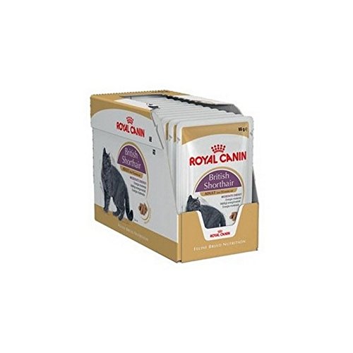 Preisvergleich Produktbild Royal Canin Britisch Kurzhaar Nass Katzenfutter Beutel 12 X 85G (1.02Kg)