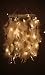 Daedal dream catchers Daedal dream catcher- White color with lights RS.999.00