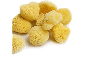 HOME SUPPLIES DIRECT HSD Natural Artists Sea Sponge Confezione da 10 Pittura ad acquerello