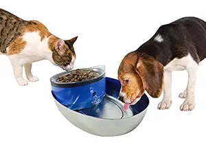 Pioneer Pet Drinking Fountain, 40 oz