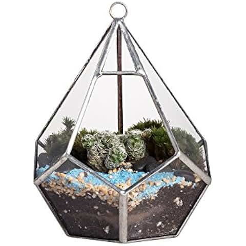 Suchergebnis auf Amazon.de für: Übertöpfe Glas: Garten