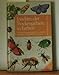 Produktbild Insekten der Trockengebiete in Farben