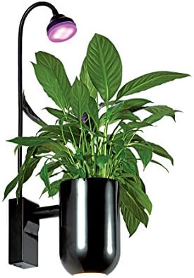 5W LED Wall Lamp 3W Plant Grow Light Full Spectrum Flexible Gooseneck with Stainless Steel and ABS Perfect for Corridor Stairs Bathroom Washroom Hotel Indoor Lighting Pure White Oxygen