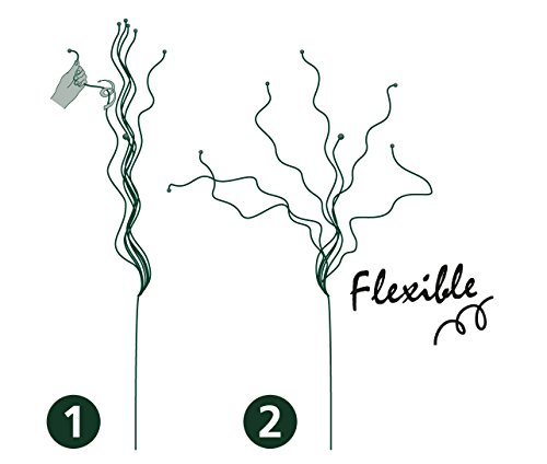 Twiggy Flexible Rankhilfe Pflanzenstütze für Büsche/Kleine Bäume/Blumen etc., 2 Stück