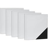Profesyonel Tuval 20x20 cm 5'li