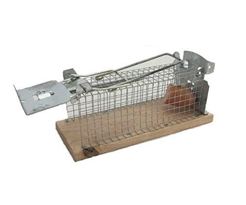 Mausefalle Tierfreundliche Lebendfalle für Mäuse 4 Stück Set - 2