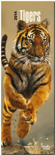 Tigers 2014 - Tiger: Original BrownTrout-Kalender - Slimline [Mehrsprachig] [Kalender]