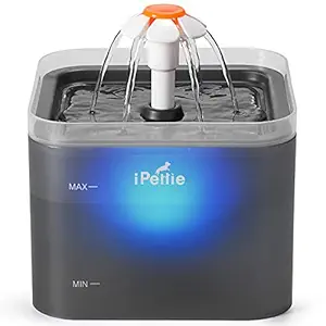iPettie Cat Water Fountain with LED Light, 67oz/2.0L, Ultra Quiet Cat Drinking Fountain with Filter, Automatic Pet Water Fountain for Cats and Small Dogs, Grey