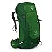 Produktbild Osprey Rucksack Kestrel 38 Jungle Green (grün) M/L