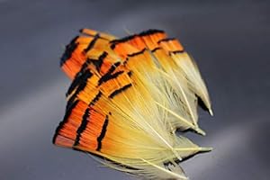 Tigofly 50 pz/lotto Bianco D'oro Colore Naturale Fagiano Testa Cresta Piuma Mosca Legatura Materiali
