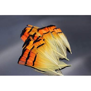 Golden Pheasant Crest | Hatch Match’r Fly & Tackle