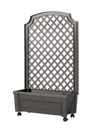 Pflanzkasten m. Spalier+Speicher anthrazit, Calypso, 2 Packstücke