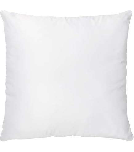Coussin 40x40 Sans Housse Coussin De Garnissage En Polyester Microfibre 30 X 50 Cm Coussin De Canapé