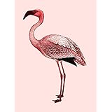 Flamingo (Leinwand)