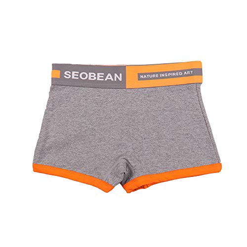 BaronHong - Boxer - Lot de 3 Boxers en Coton à Rayures de Couleur Unie en Coton pour Lesbiennes Tomboy Trans (Gris, 2XL)