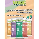 Wooc Dondurularak Kurutulmuş Kedi &Ouml;d&uuml;l&uuml; Lolipop 1.4 Gr x 5 Adet (Ekonomik Paket)