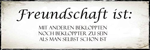 " Freundschaft ist.... " / Metallschild / Blechschild / Dekoschild / Wandschild / wetterfest / Innenbereich / Außenbereich /Motivation/ Vintage