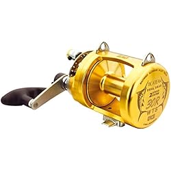 Tica Trident, color gold, talla 30 WTS