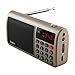 Produktbild VCB Rolton T50 Portable World Band UKW/MW/SW-Stereo-Radio-Lautsprecher Mp3 Music Player - Golden