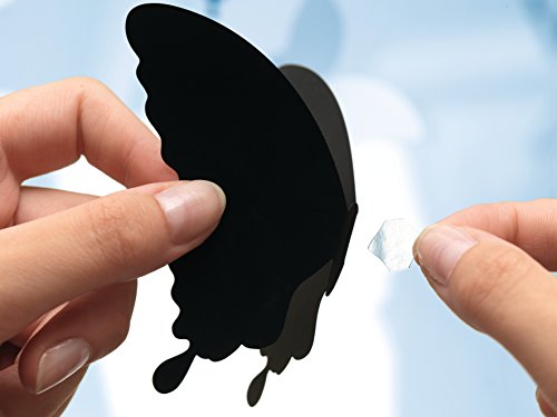 TESA TACK Transparente 60pieza s  - Cinta adhesiva  Transparente  60 pieza s  