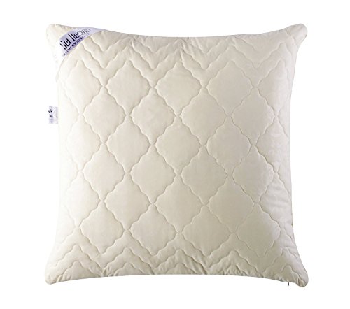Angebot DOPPELPACK: 2x Sei Design® Premium Mikrofaser Kopfkissen Aphrodite. Füllung aus 3-D Faserkügelchen – sehr weich und angenehm – Stützkraft regulierbar durch Reißverschluss. Eine eingearbeitete Kante verleiht dem Kissen eine besondere Elegance. (80×80, champagner) - 2