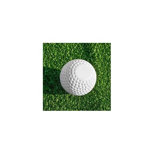 All IZ Well Field Hockey Ball/Cricket Training/Golf Training Practice Ball - Image 7
