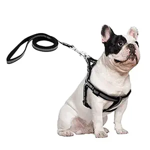 RvPaws Daily Walking Durable 15mm Nylon Reflective Dog Harness Leash Lead Set for Small Medium Dogs Puppy Harness and Leash Set Adjustable (Black Color)