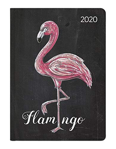 Ladytimer Chalkboard Flamingo 2020 - Taschenkalender A6 (11 x 15) - Weekly - 192 Seiten - Notizbuch - Terminplaner