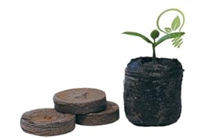 Lot de 100 granulés de graines de tourbe Jiffy 7 24 mm