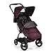 iCoo Acrobat Shop'n Drive Travel System, Fishbone Bordeaux
