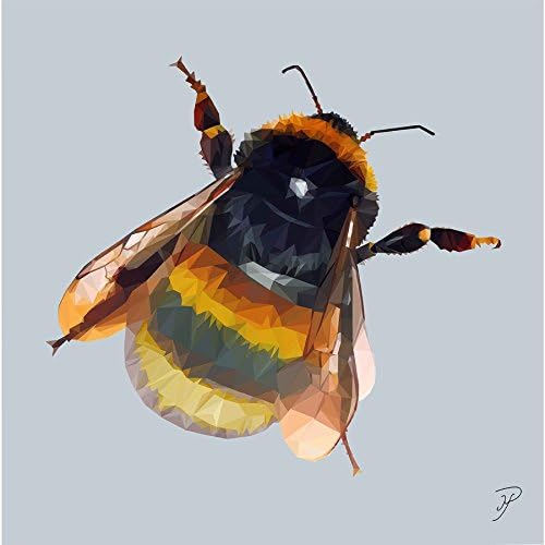 Birthday, Anniversary Greetings Card - Bee Animal Design - Blank