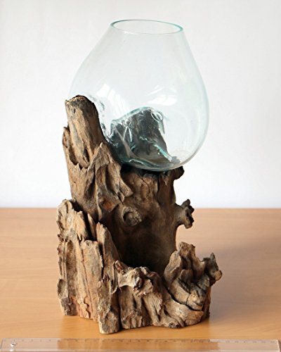 Geschenk Deko Gamal Wurzelholz Glasvase Ø Glas 15-16 cm Wurzel Holz Teakholz Vase Glas M - 5