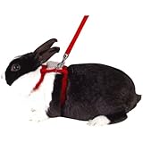 Kerbl 83969 Kaninchengeschirr farblich sortiert