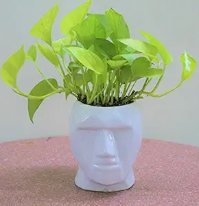 POTS & PLANTS Ceramic Plant Flower Pot, Creative Geometric Lines Human Face Plant Vase Succulent Plant Pot Container Planter Bonsai Pots Indoor/Outdoor Decor (without Plant) || Made in India Product ||