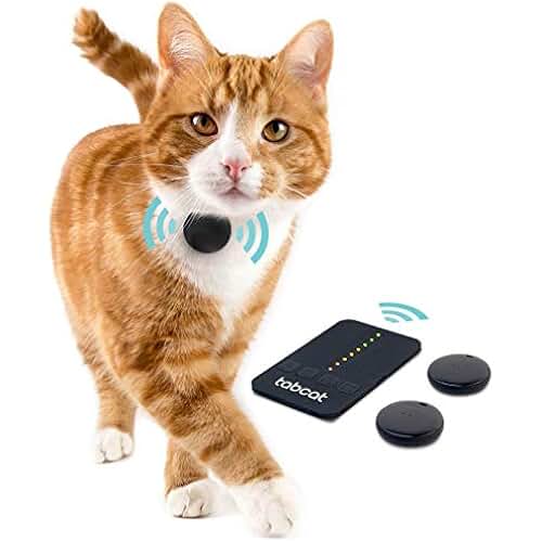 Can You Get A Gps Chip For Your Cat at Raymond Powers blog