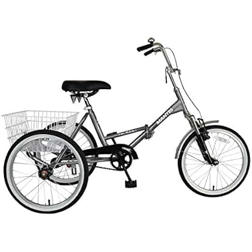Amazon.co.uk electric trikes for adults uk