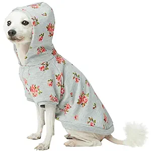 Blueberry Pet 2019 Spring Scent Inspired Rose Flower Pullover Dog Hooded Sweatshirt in Grey, Back Length 10