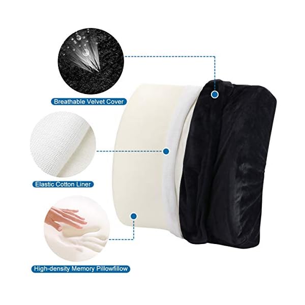 LoveHome Lumbar Support Pillow Back Cushion for Office Chair with Memory Foam and Velvet Cover Relief Lower Back Pain for Car Sofa - Image 4