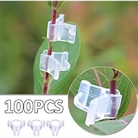 Amazon.es: Soportes para plantas: Jardín