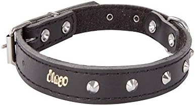 Dingo Designed Leather Dog Collar, Lined with Felt, Decorative Studs, Durable, Black 12052