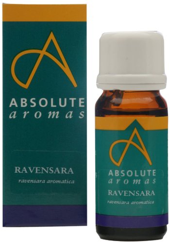 Absolute Aromas Ravensara Essential Oil