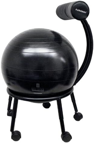 Zenzu Pro Ball Chair