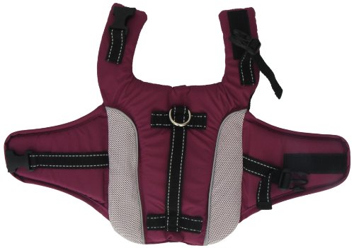 Puppy-Angel-Angione-3M-Reflecting-Life-Vest